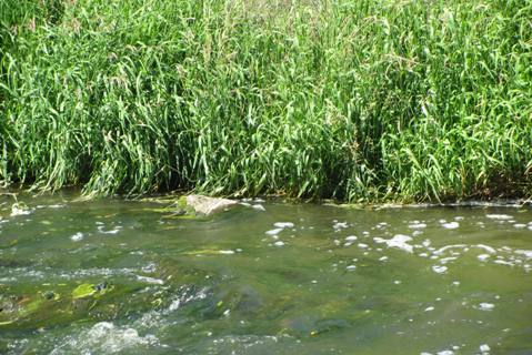 Пляж с искуственным водопадом