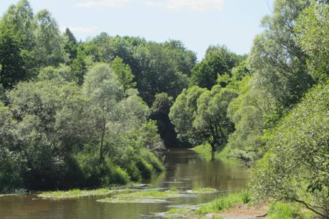 Пляж с искуственным водопадом