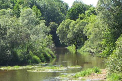 Пляж с искуственным водопадом