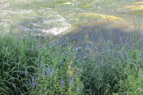 Пляж с искуственным водопадом