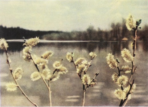 Брянск. Фотоочерк. 1966 год