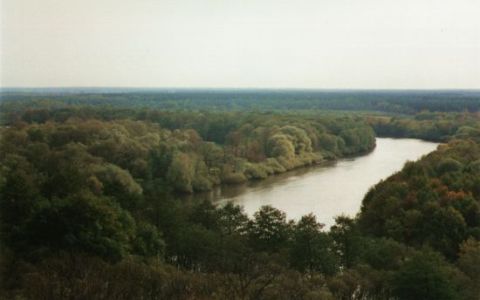 Брянский Свенский Успенский мужской монастырь