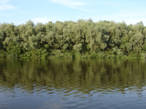 Андреевский луг. Свенский монастырь