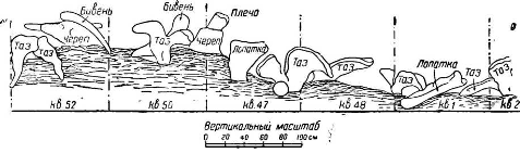 Елисеевичи