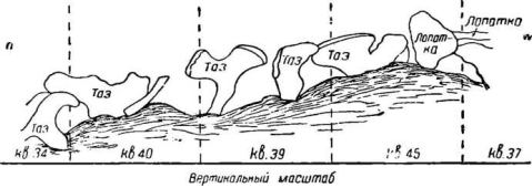 Елисеевичи