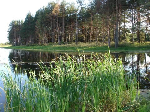 Купальня близ Николо-Одринского монастыря