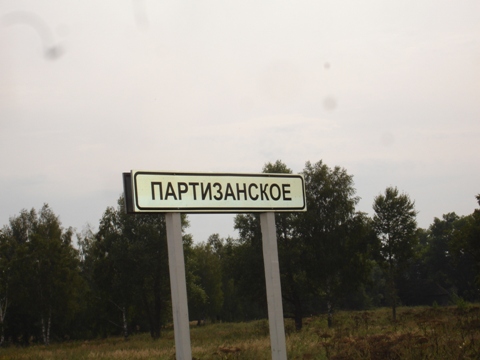 Партизанское