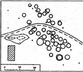 План курганного могильника Холевичи