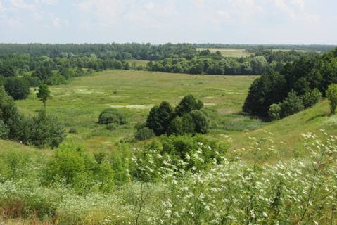 Старопочепье. Городище