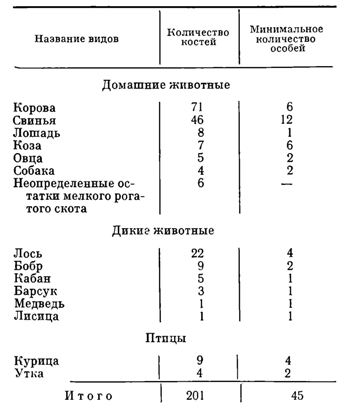 Городище Осовик