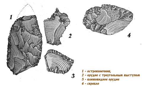 Кремневые орудия Хотылевской стоянки